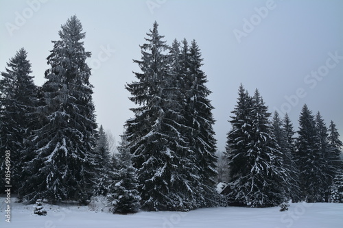 winter landscape on the mountain
