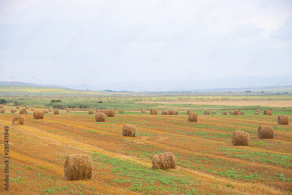 Field with haystacks. Russian open spaces. Dry grass twisted into stacks