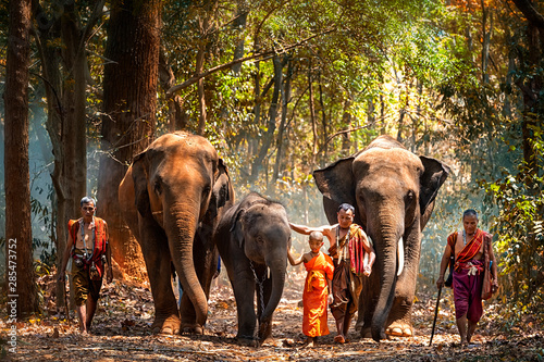 Photography Elephant mahout portrait