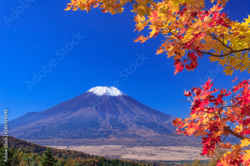 紅葉のもみじと富士山
