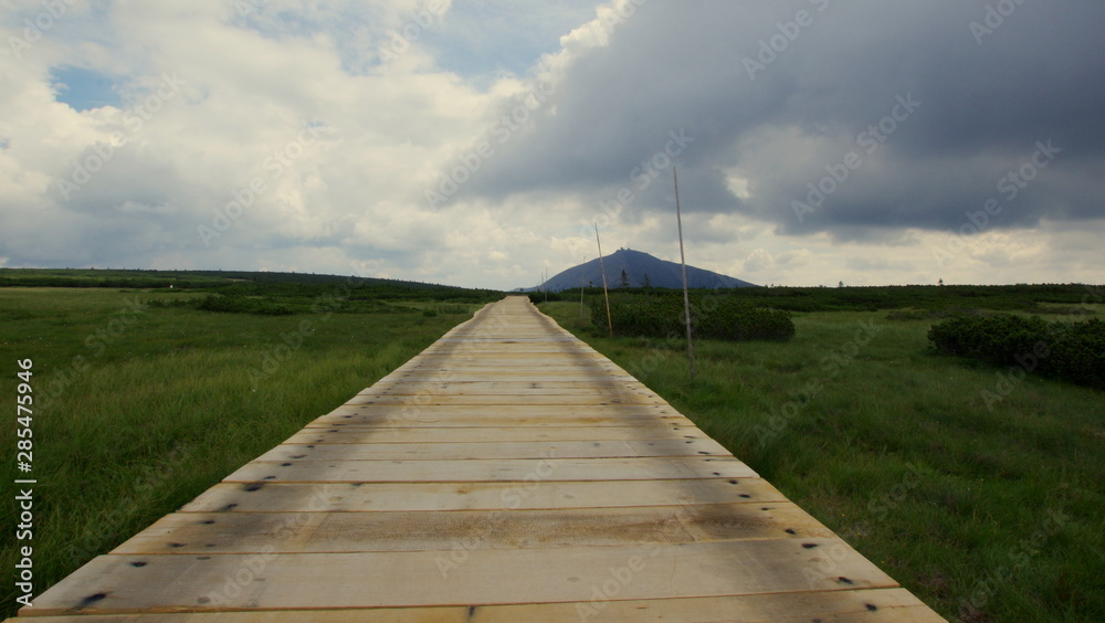 Fototapeta premium Path to the Sniezke mountain in the Giant Mountains