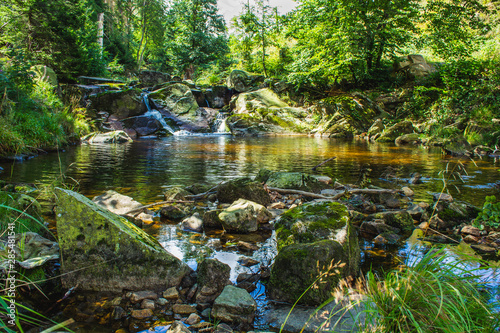 Ilse river flowing through the forest in Harz Mountains National Park, Germany