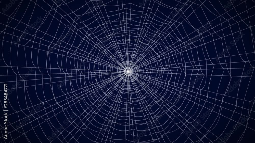 concentric white web on a blue background