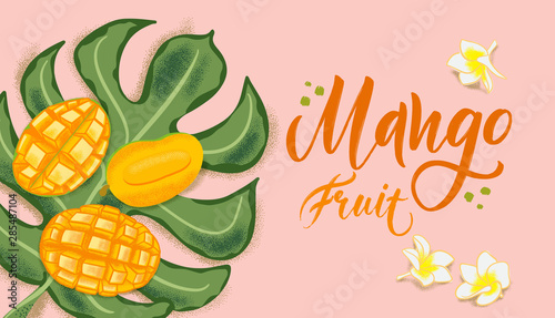 Hand drawn textured mango, flowers and leafs on coral background.  Colorful vector flat lay food illustration for healthy food cafe, restaurant, fruits and grocery market
