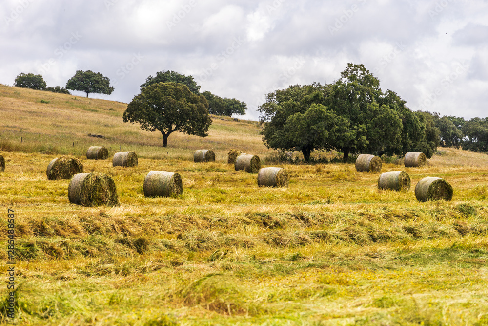 Hay rolls in the field Portugal