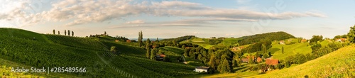Panorama view of Vineyards in summer in south Styria  Austria tourist spot  travel destination.