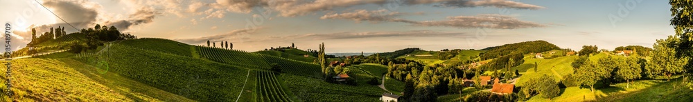 Panorama view of Vineyards in summer in south Styria, Austria tourist spot, travel destination. - obrazy, fototapety, plakaty 