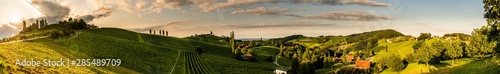 Panorama view of Vineyards in summer in south Styria, Austria tourist spot, travel destination.