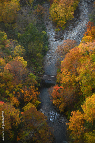 Autumn forest in a river valley in Tohoku region near Aomori © porbital