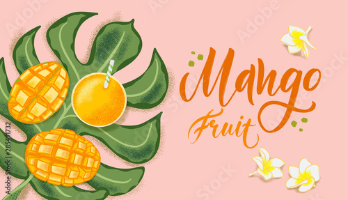 Hand drawn textured mango, flowers and leafs on coral background.  Colorful vector flat lay food illustration for healthy food cafe, restaurant, fruits and grocery market
