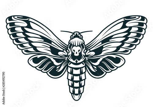 Vintage beautiful butterfly template