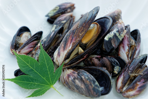 steamed Korean mussels on white plate with green maple leaf