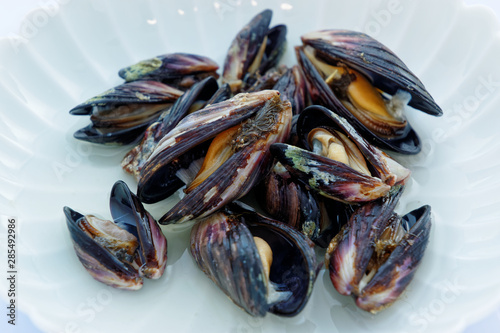 steamed Korean mussels on white plate photo