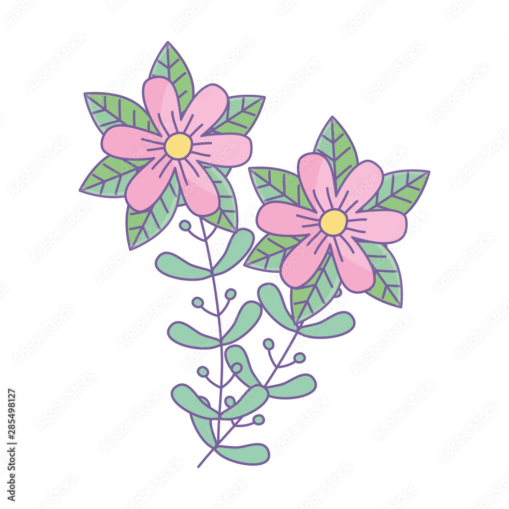 Isolated flowers ornament design vector illustration
