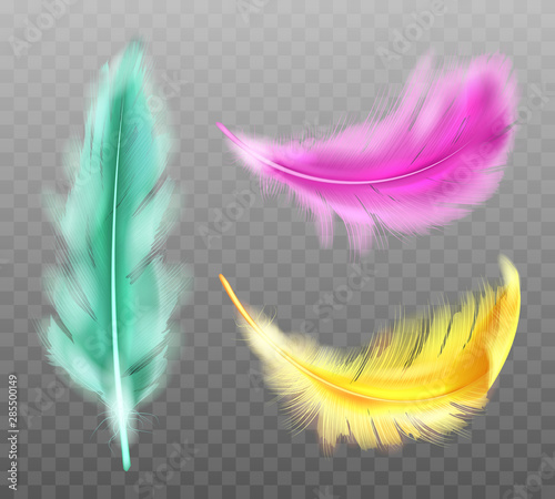 Color fluffy feathers vector realistic set isolated on transparent background. Yellow green pink soft feathers from wings of tropical birds or angel, symbol of softness and purity, design element
