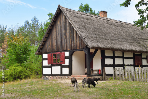 The Folk Culture Museum in Osiek by the river Notec, the open-air museum presents polish folk culture. Poland, Europe photo