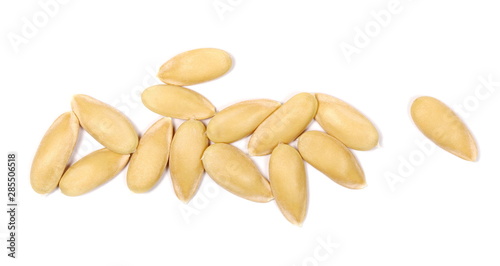 Pile melon seeds isolated on white background, top view