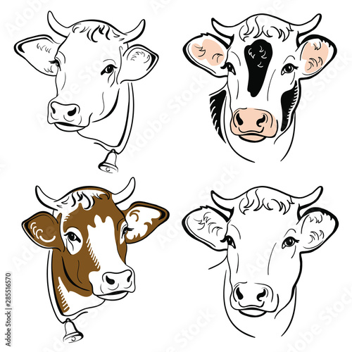 cow head portrait, set of stylized vector symbols on white background, Farm animal