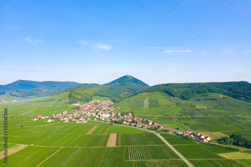 Un village alsacien au milieu des vignes au pied des Vosges et du Château du Haut-Kœnigsbourg