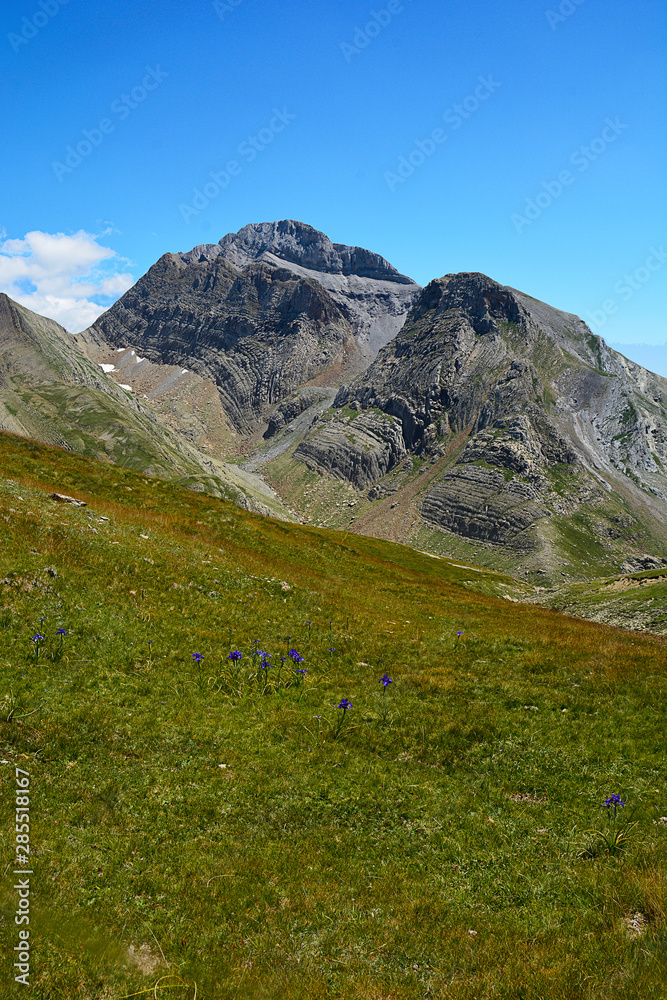 Pirineo de Huesca - Acher - Selva de Oza. Pirineo de Huesca - Acher - Selva de Oza.