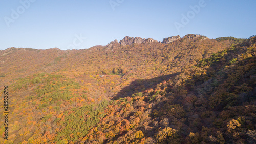 naejangsan nationnal park,South Korea