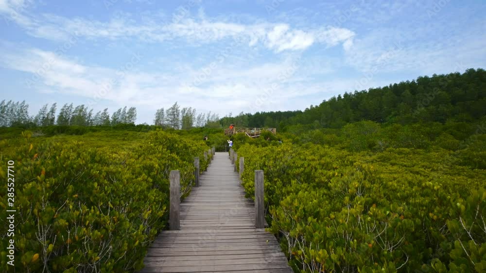 Wooden bridge at Mangroves in Tung Prong Thong or Golden Mangrove Field, Rayong province, Thailand Wooden bridge at Mangroves in Tung Prong Thong or Golden Mangrove Field, Rayong province, Thailand