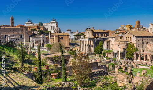 Ancient Forum Vesta Temple Regia Capitoline Hill Rome Italy
