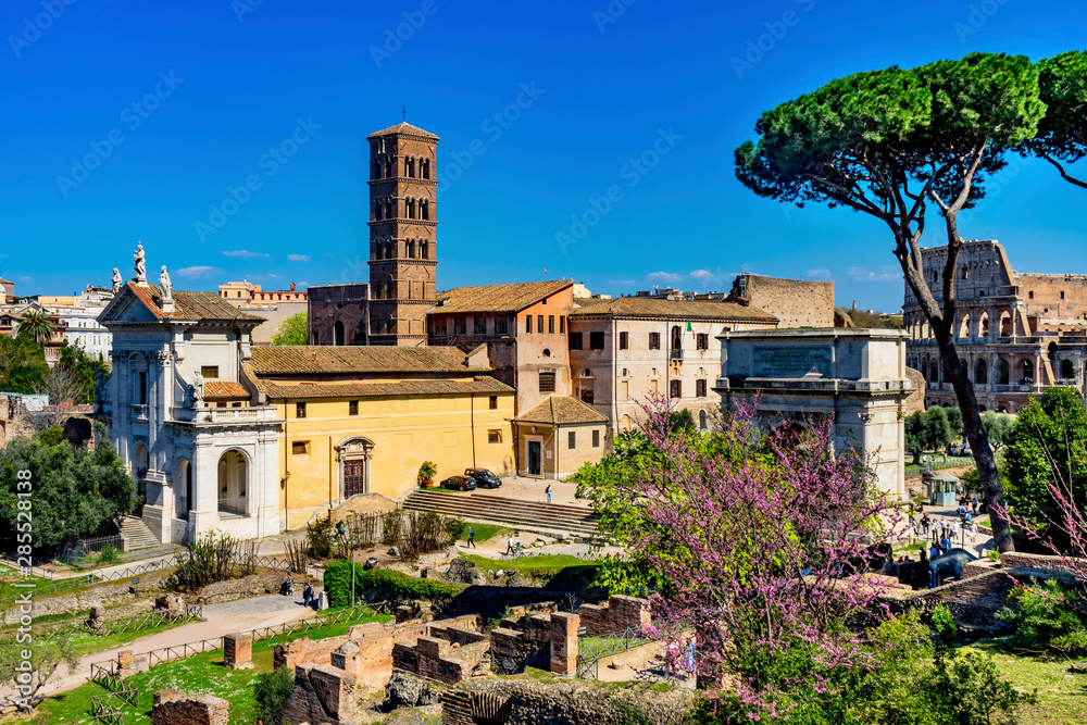 Umbrella Trees Ancient Forum Titus Arch Roman Colosseum Rome Italy