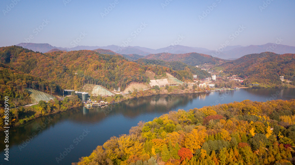 Obraz premium Autumn of Nami island,Seoul Korea
