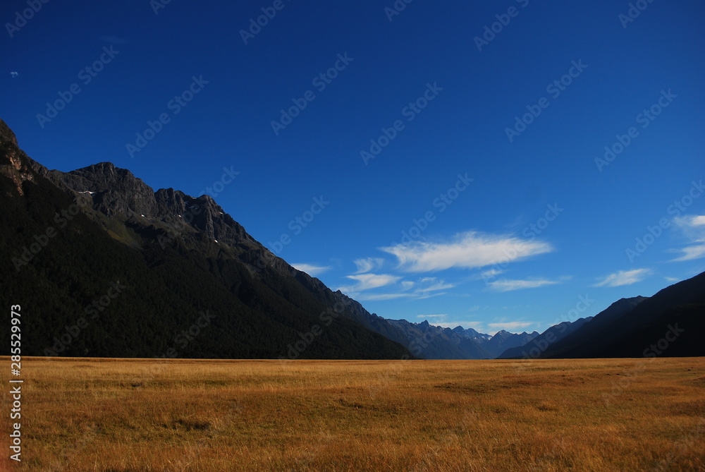  Camino a Milford Sound