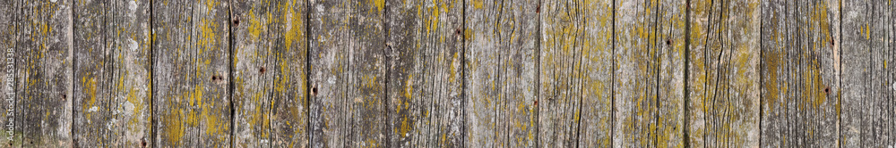 Background of old weathered wooden boards with old dry moss. Panoramic wooden texture. Background of old weathered wooden boards with old dry moss. Panoramic wooden texture.
