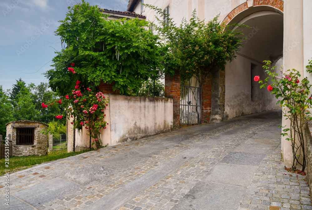 Fototapeta premium View of the medieval village of Bossolasco in the Langhe area with old stone buildings and a narrow alley with the typical rose plants from which derive the name 