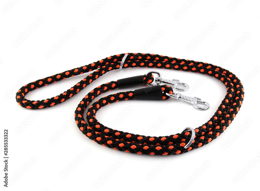 Red nylon dog lead or leash isolated on white background. The leash is red and black and has two carabiners.