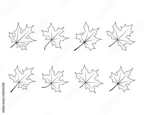Set of maple leaves drawn on outline style. Maple tree leaves isolated on white background. Clipart elements for card, poster, banner, wallpaper, wrapping, textile, fabric, tile, print design