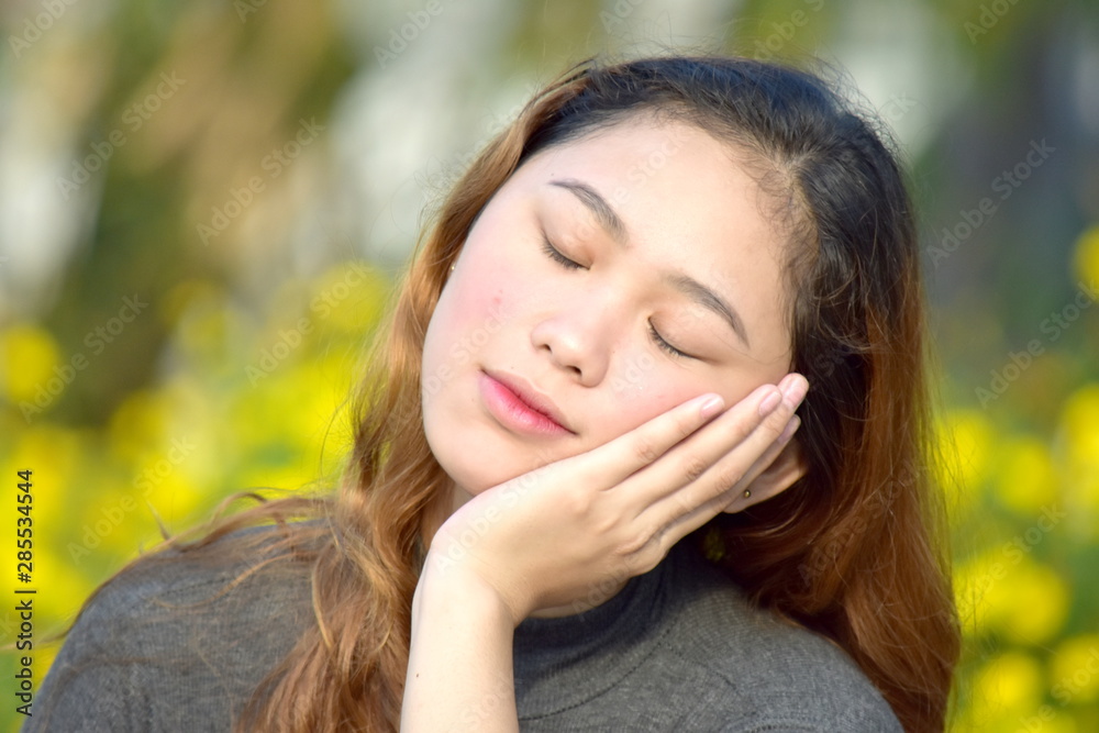 A Sleepy Adult Female
