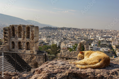 Athens, Herodes Atticus and a cat resting