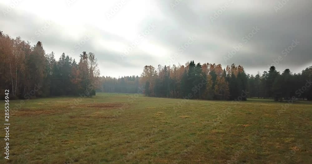 Aerial view of autumn forest. Fall landscape with red, yellow and green trees and fields with a mowed grass in sunny day