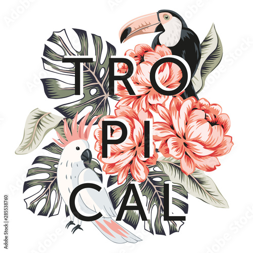 Tropical design with parrot, toucan bird, rose flowers, monstera palm leaves, text, white background. T shirt, card, poster template. Vector illustration. Summer beach print. Paradise nature