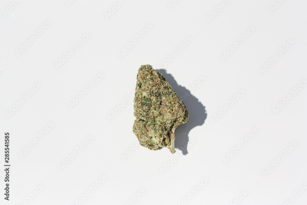 Mimosa Strain - Marijuana Bud Isolated - Cannabis - Herbal