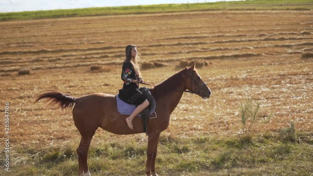 Handheld medium shot of a long-haired sexy lady riding a horse in a field Handheld medium shot of a long-haired sexy lady riding a horse in a field