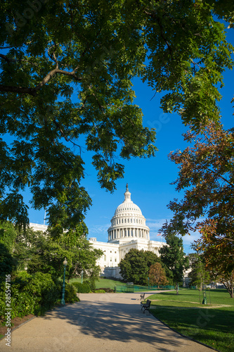 Scenic blue sky view of the dome of the US Capitol Building framed by summer greenery in bright midday sun in Washington DC, USA