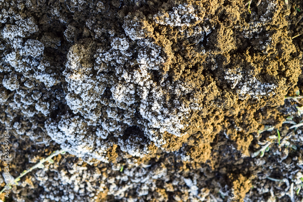 The soil and snow. Frozen ground. Background of the soil and snow The soil and snow. Frozen ground. Background of the soil and snow