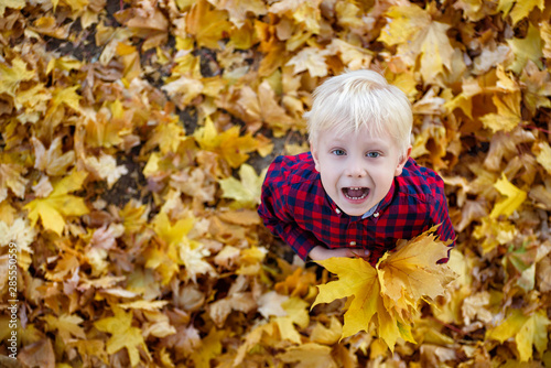 Blond boy with a bouquet of autumn leaves stands and looks up. Top view. Autumn concept