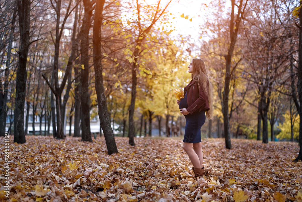 Pensive young pregnant woman. Eighth month. Autumn park on the background Pensive young pregnant woman. Eighth month. Autumn park on the background