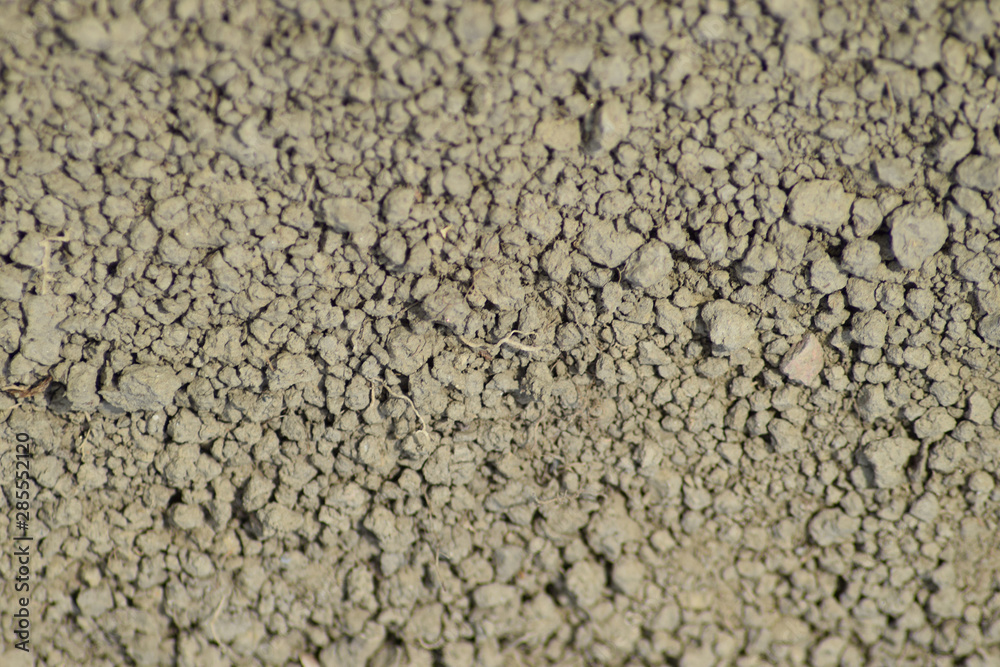 The soil on a dirt road The soil on a dirt road