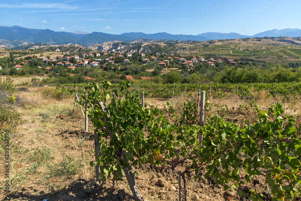 Lozenitsa Village and Vine plantations near town of Melnik, Bulgaria