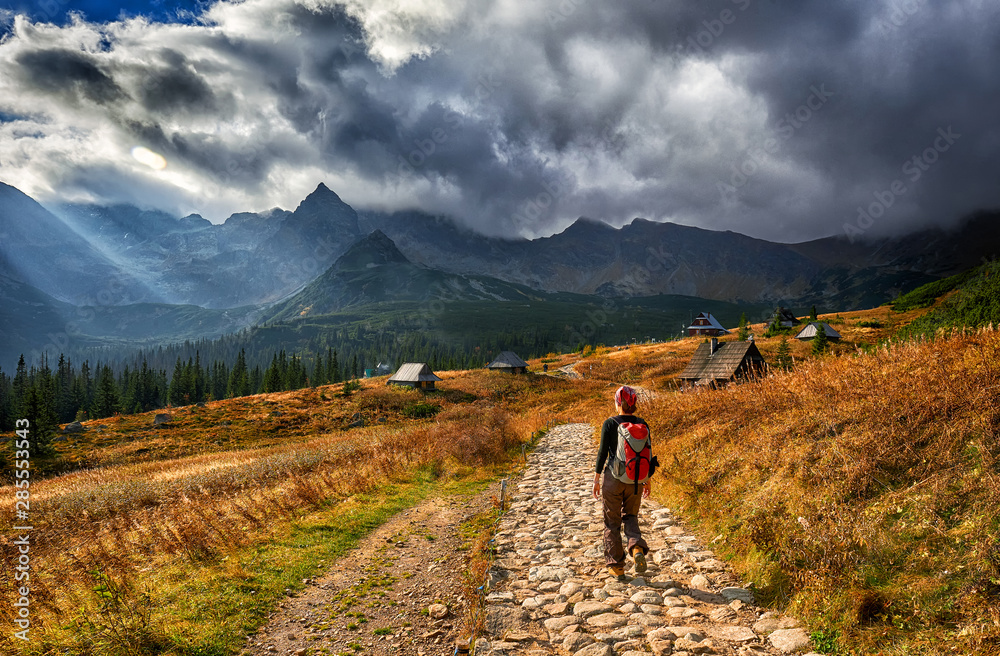 Obraz premium Gasienicowa valley in Tatra mountains - Poland