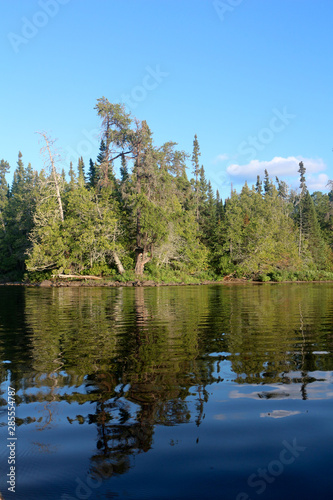 Fototapeta Naklejka Na Ścianę i Meble -  reflection of trees in lake