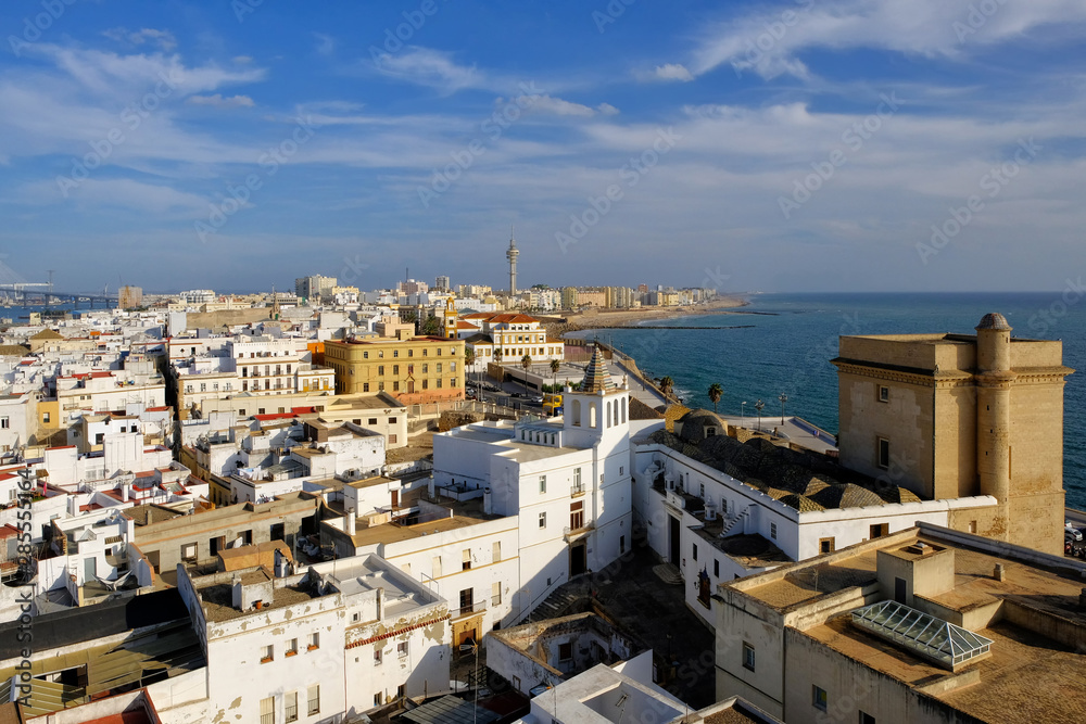 Aerial view of the old city rooftops and Cathedral de Santa Cruz in the morning from tower Tavira in Cadiz, Andalusia(Andalucia), Spain
