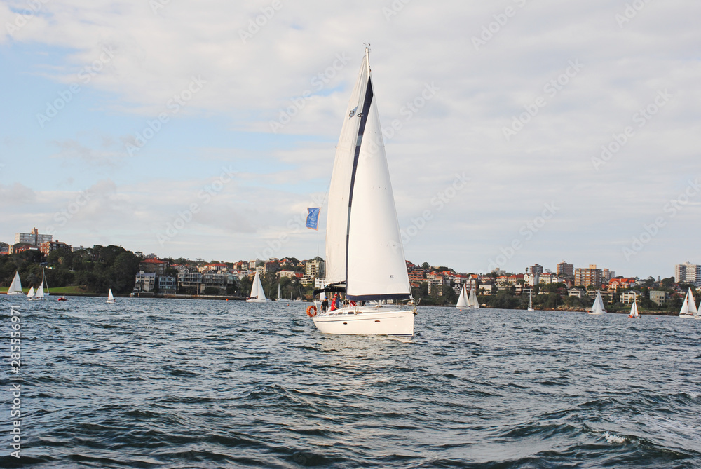 sailing in the bay sailing in the bay